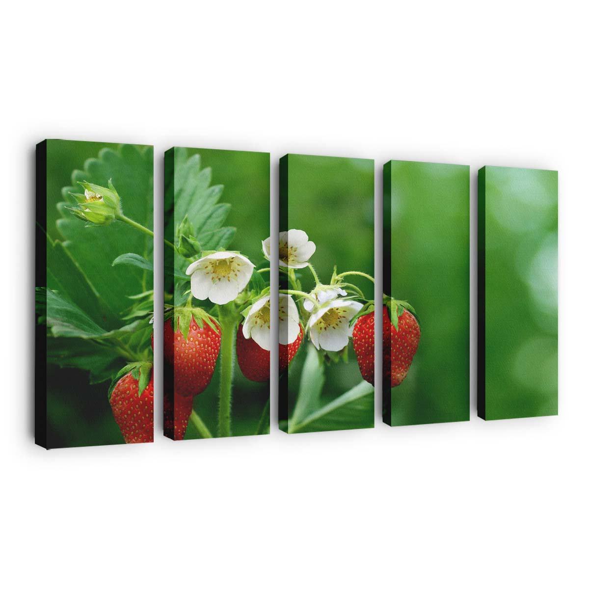 strawberry plant with flowers and fruits wallpaper